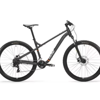Adult Bike